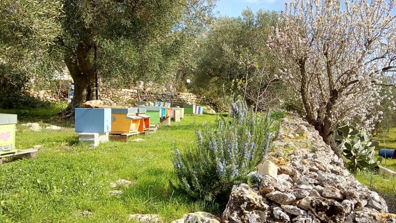 Vivere Ostuni Bagian luar foto